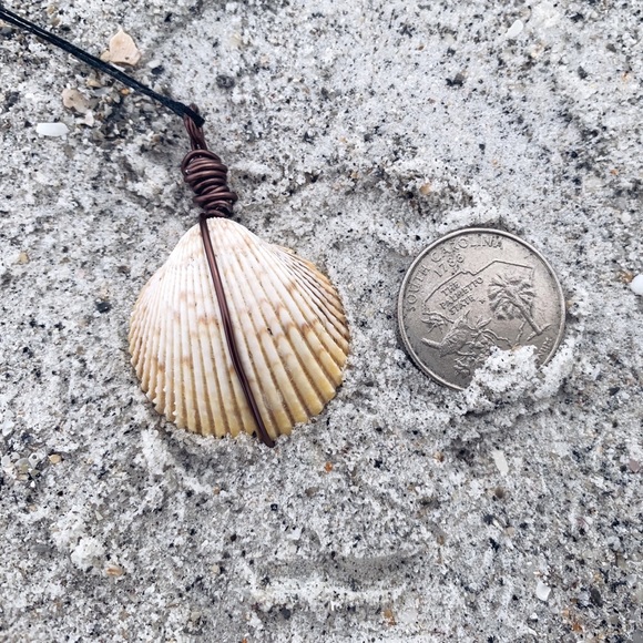 Sunshine State Seashell Necklace - Picture 4 of 6